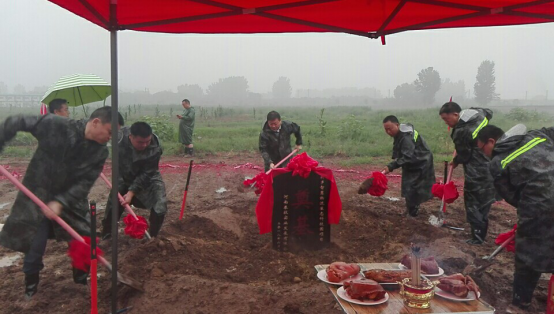 泰投-新聞資訊可以上傳的文章415